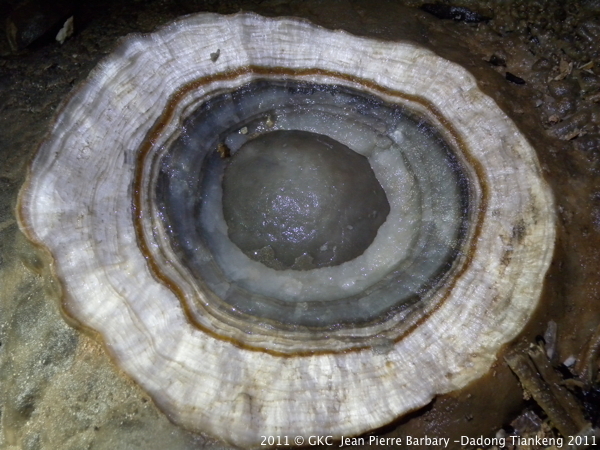 Stalagmite brisée...grotte de Liangfengdong å‡‰é£Žæ´ž (Dachaozi, Tangbian å¡˜è¾¹ Pingtang å¹³å¡˜ Guizhou)