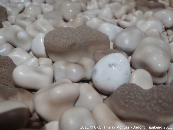 Perles des cavernes dans la grotte de Shuidong 水洞 (Tangbian 塘边 Pingtang 平塘 Guizhou)
