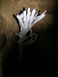 Massacre dans la grotte de Cizhudong åˆºçŒªæ´ž ! Ces magnifiques concrétions ont été brisées et posées en attendant le retour des pillards !.. Quel gachis ! (district de Qianxi, Guizhou è´µå·žçœ, Chine) photo Jean Bottazzi Guizhou 007 2007