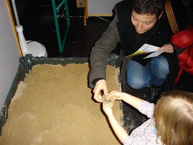 découverte d'un fossile avec l'aide de maman !