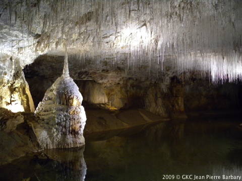 Fistuleuses à  la grotte Choranche.