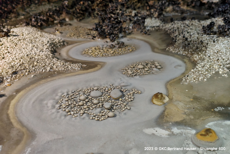 Perles des cavernes (pisolithes) dans la grotte de Bojiyan 簸箕岩, la nature n'en finira jamais de nous ravir et de nous étonner avec ces magnifiques oeuvres d'art. (Réseau de Shuanghedong 双河洞 - Guizhou 贵州省, Zunyi 遵义市, Suiyang 绥阳)