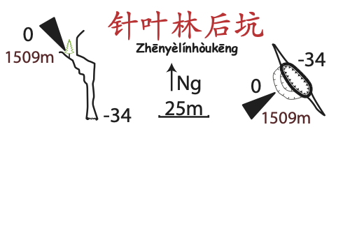 topographie Zhenyelinhoukeng 针叶林后坑